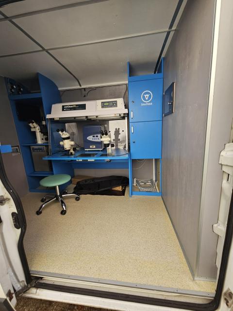 Lab