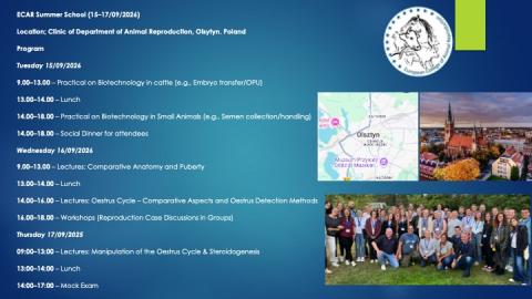 ECAR Summer School 2026